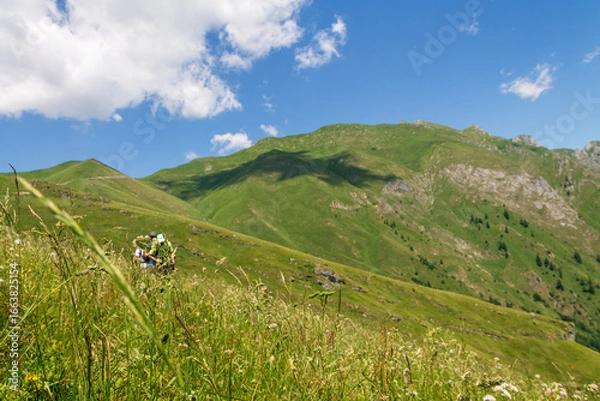 Obraz tracking in the mountain