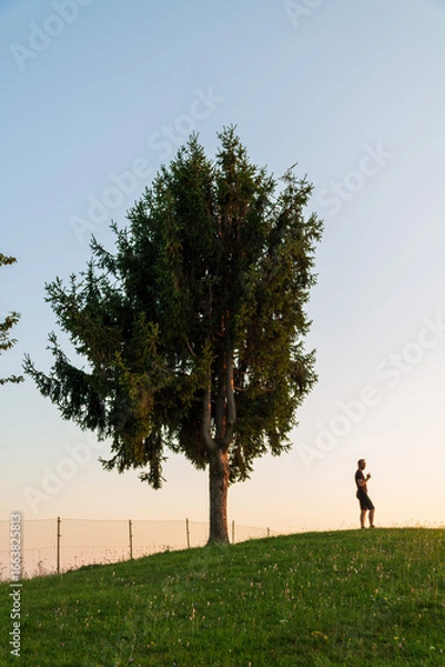 Obraz Men in the park