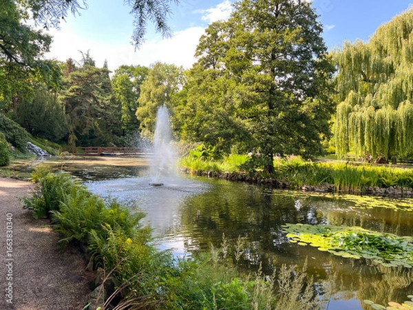 Fototapeta Botanical garden on Ostrów Tumski in Wrocław. Pond with a fountain