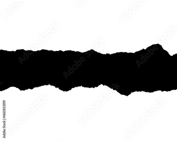 Obraz Torn paper strip isolated on transparent background