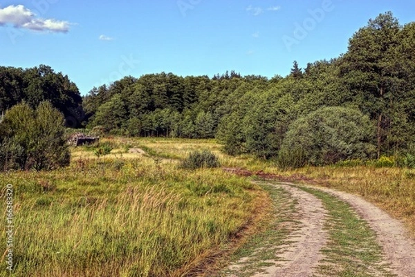 Fototapeta Песчаная дорога в лугу перед опушкой зелёного леса