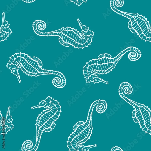 Fototapeta vector seamless pattern or seahorse contour. Hippocampus background