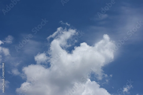 Fototapeta 青空と雲「空想・雲のモンスター（雲の上部に出現しはじめたモンスター）」印象的、上に向かう、成長する、元気などのイメージ