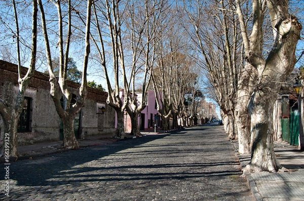 Fototapeta Bucolic village
