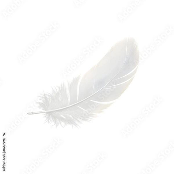 Fototapeta White Feather: Delicate Texture and Design Element