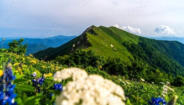 Obraz Lush mountain slopes dotted with wildflowers rise to a dramatic peak, showcasing a vibrant landscape of green hills and bright blossoms under a serene sky.