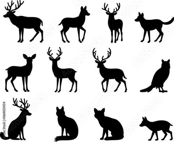 Obraz vector silhouettes of animals