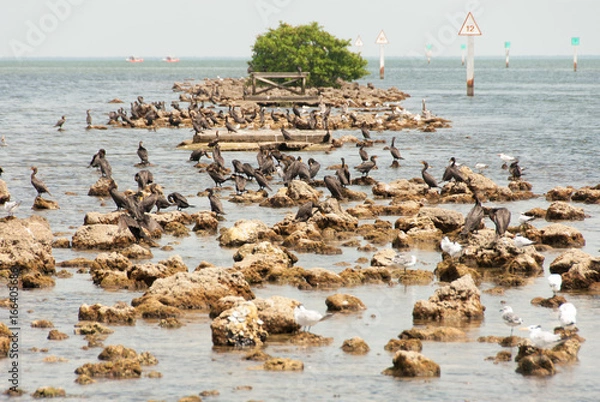 Obraz Florida Coastline