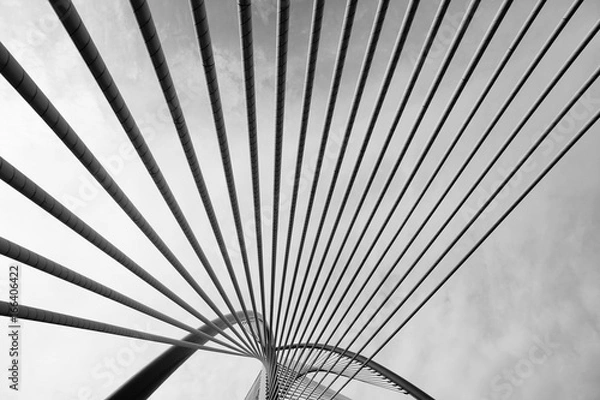 Obraz Modern Bridge Architecture 