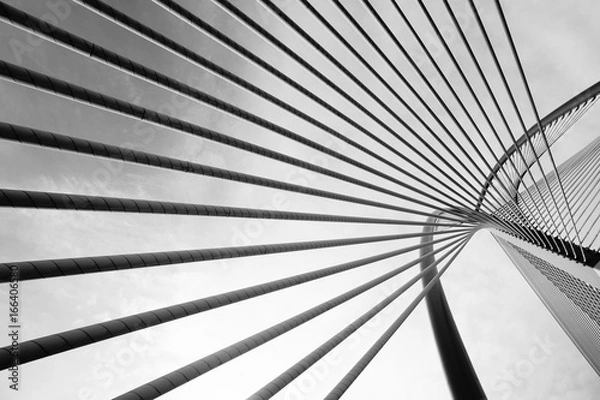 Obraz Modern Bridge Architecture 