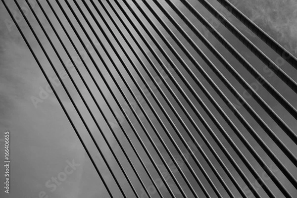 Obraz Modern Bridge Architecture 