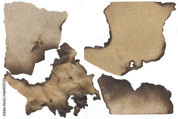 Obraz Burnt paper edge texture – charred torn sheet, isolated transparent background