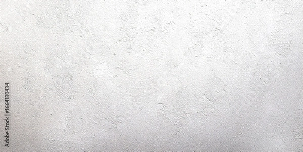 Obraz ざらざらした質感の白い背景