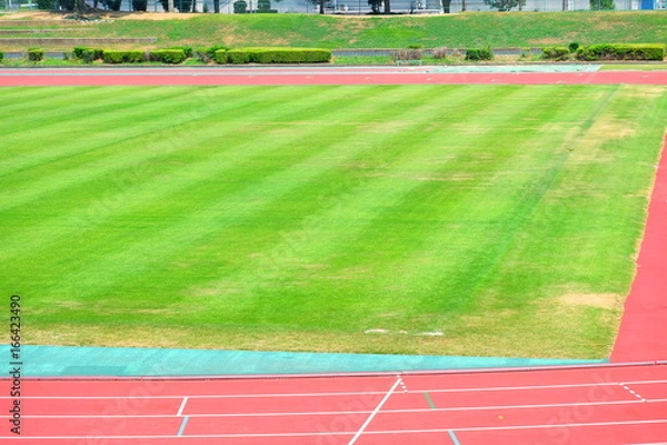 Fototapeta 競技場のグランド