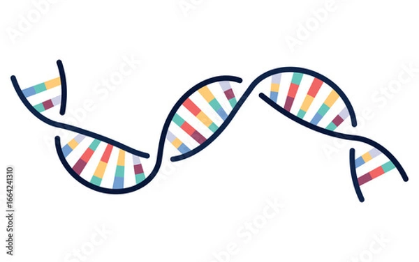 Fototapeta Curved colorful DNA helix icon symbolizing genetics, science, biology, healthcare, research, and biotechnology innovation.