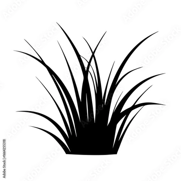 Fototapeta Silhouette of Lush Grass A Vector Illustration