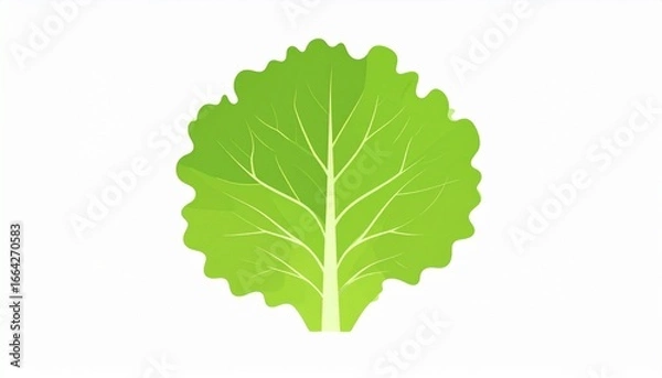 Fototapeta Single Lettuce Leaf from Top View