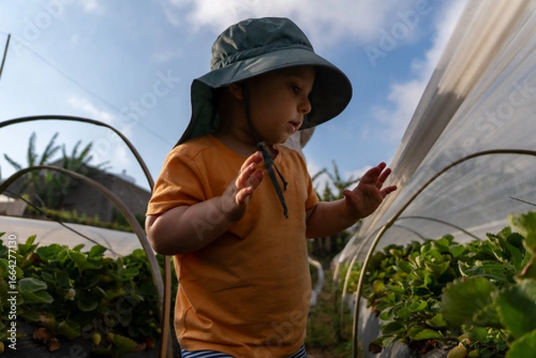 Obraz 3 Day trip to Bedugul, Northern Bali