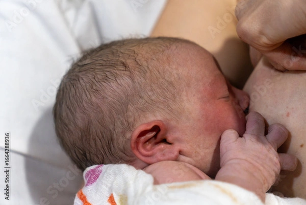 Obraz Anjali's Birth