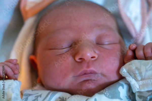 Obraz Anjali's Birth