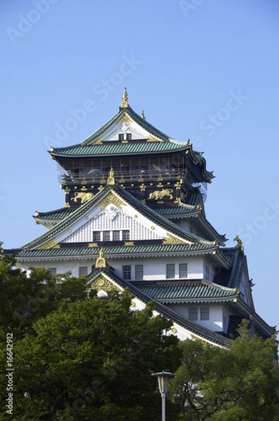 Fototapeta 大阪城