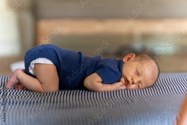 Obraz Anjali takes an afternoon nap