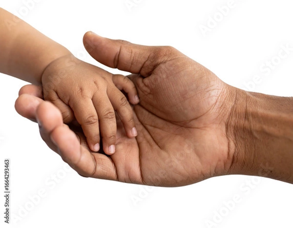 Fototapeta Adult and child hands touching in protective gesture symbolizing care, support, family bond and intergenerational connection on transparent background