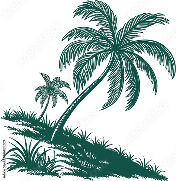 Fototapeta palm tree silhouette