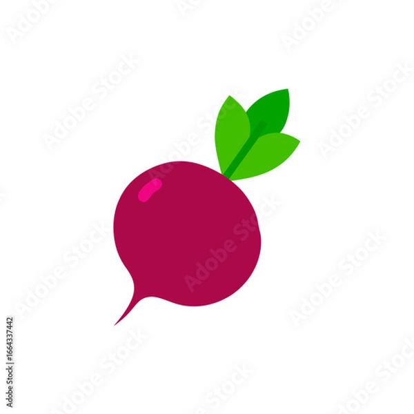 Obraz Beetroot Flat Vector Illustration, Fresh Organic Root Vegetable Clipart