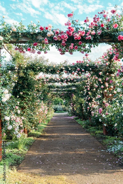 Obraz Rose Garden Japan