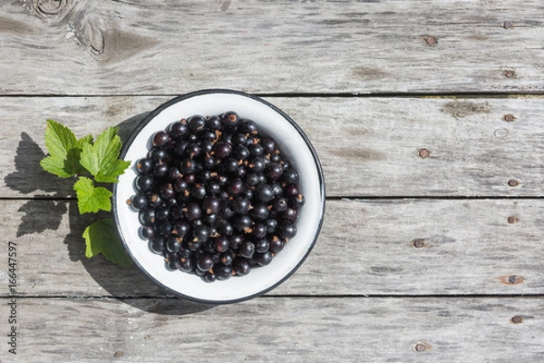 Obraz Black currant in a white bowl on a wooden texture with rusty nails. Top view. Copyspace.