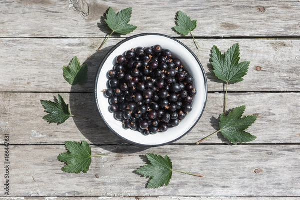 Fototapeta Black currant in a white bowl on a wooden texture with rusty nails. Top view. Copyspace.