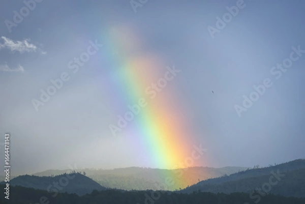 Fototapeta Bright rainbow arches over rolling hills after a refreshing rain shower in a serene landscape during early evening