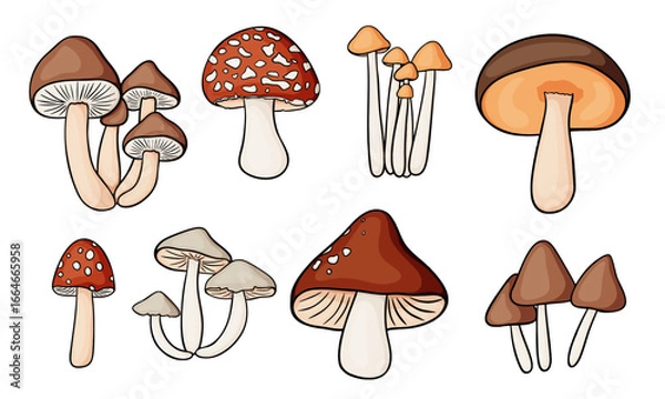 Fototapeta Set of bright forest mushrooms with dark outline in flat style
