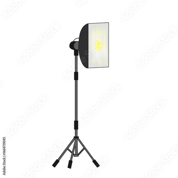 Obraz photo studio flash