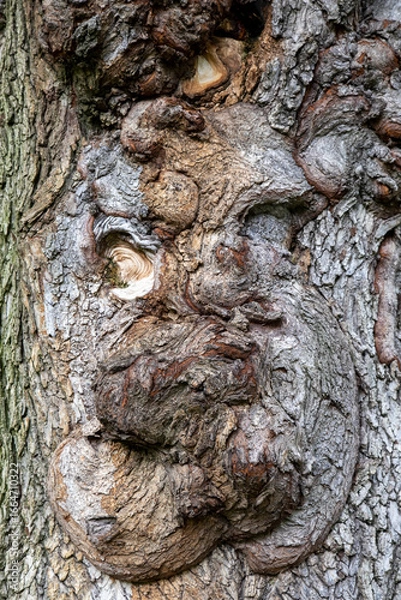 Obraz 미국 여행 이야기