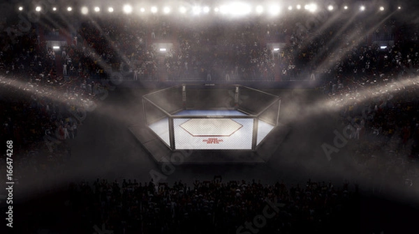 Fototapeta Empty mma arena side view under lights. complete tribune. 3D rendering