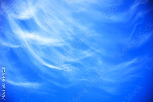 Obraz 青空に舞う美しいデザイン的な巻雲