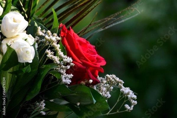Fototapeta a large red rose in a bouquet