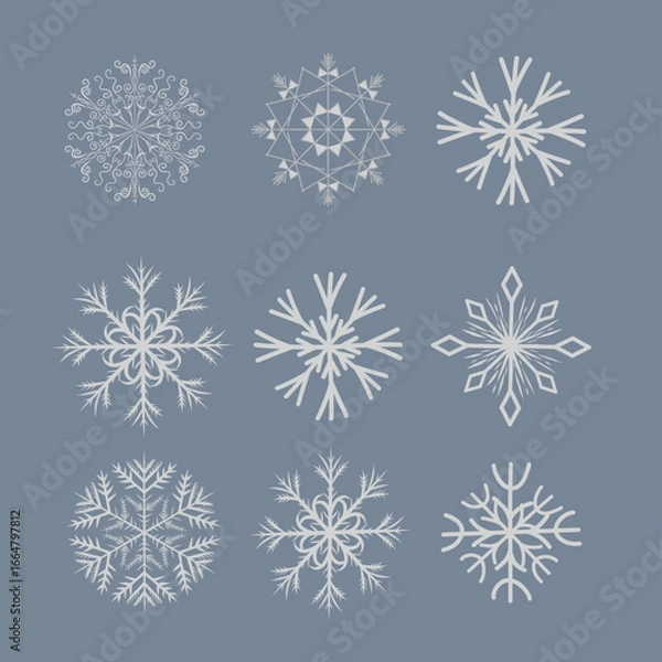 Fototapeta A collection of intricate snowflake designs in various shapes and patterns