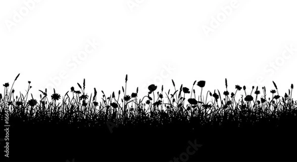 Obraz silhouette of wildflowers and grass a highresolution transparent background image for design projects