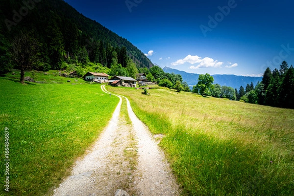 Fototapeta Hiking to the Kuenser Waterfall near Dorf Tirol - Meran South- Tyrol