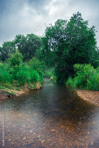 Fototapeta Serene Stream Flowing Through Lush Green Landscape on a Cloudy Day