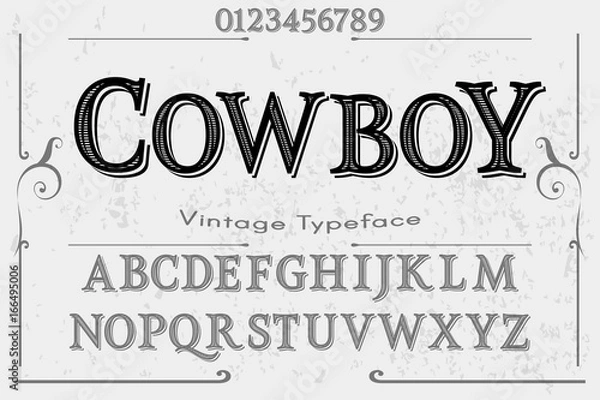 Fototapeta font handwritten vector Calligraphic alphabet,vector,script,font,labels