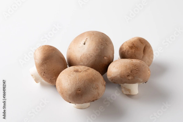 Obraz ブラウンマッシュルーム