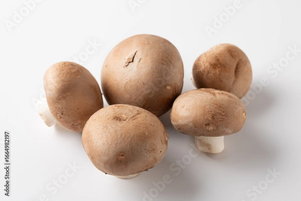 Obraz ブラウンマッシュルーム