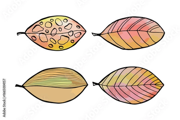 Fototapeta Set leaves in doodle style. Vector hand drawn line design elements.