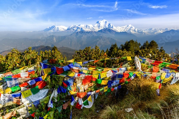 Obraz Prayer flag at Poon hill in Nepal