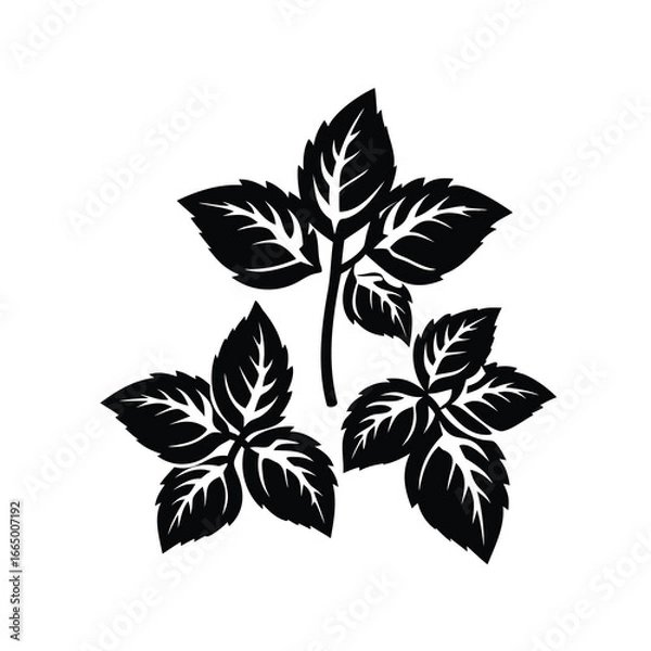 Fototapeta Adobe Illustrator Artwork