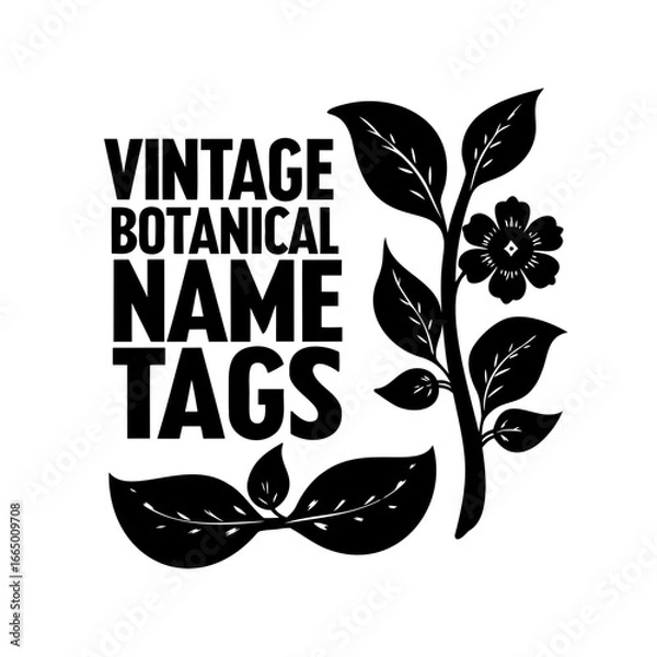 Fototapeta Vintage Botanical Name Tags Design with a Flower and Plant Illustration